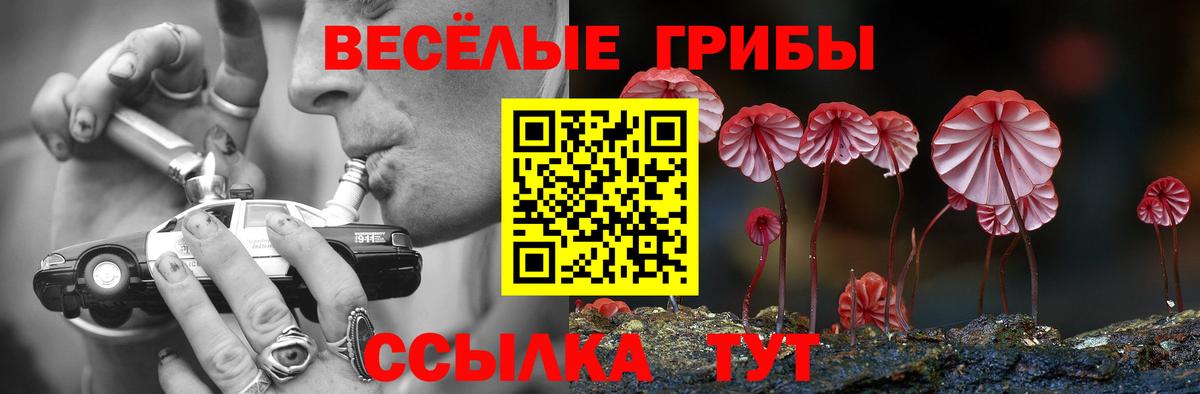 Галлюциногенные грибы мицелий  Вход с VPN  даркнет сайт  Галлюциногенные грибы Psilocybine cubensis  Киреевск 
