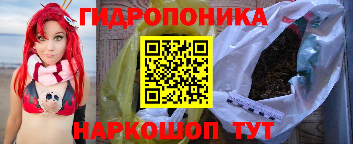 Киреевск  Бошки марихуана гибрид  Вход с VPN  Марихуана Bruce Banner  Марихуана OG Kush 